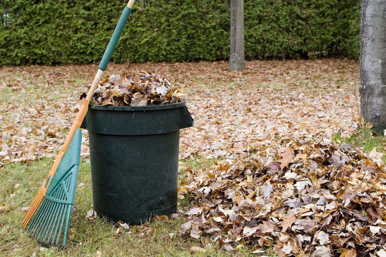 Yard Waste and Debris Removal in Arab, AL